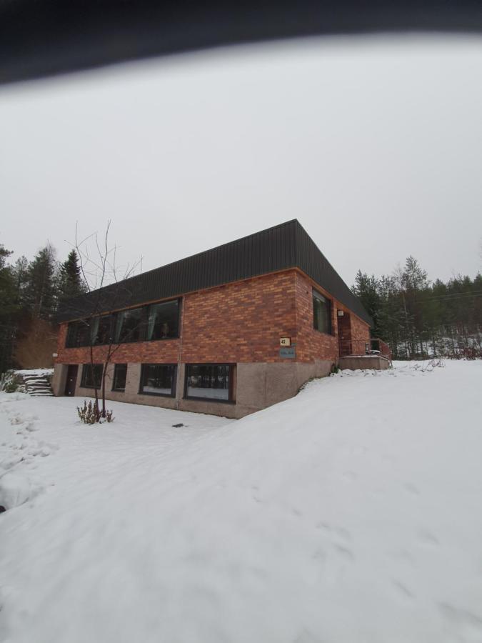 Villa Talo Rovaniemi Dış mekan fotoğraf